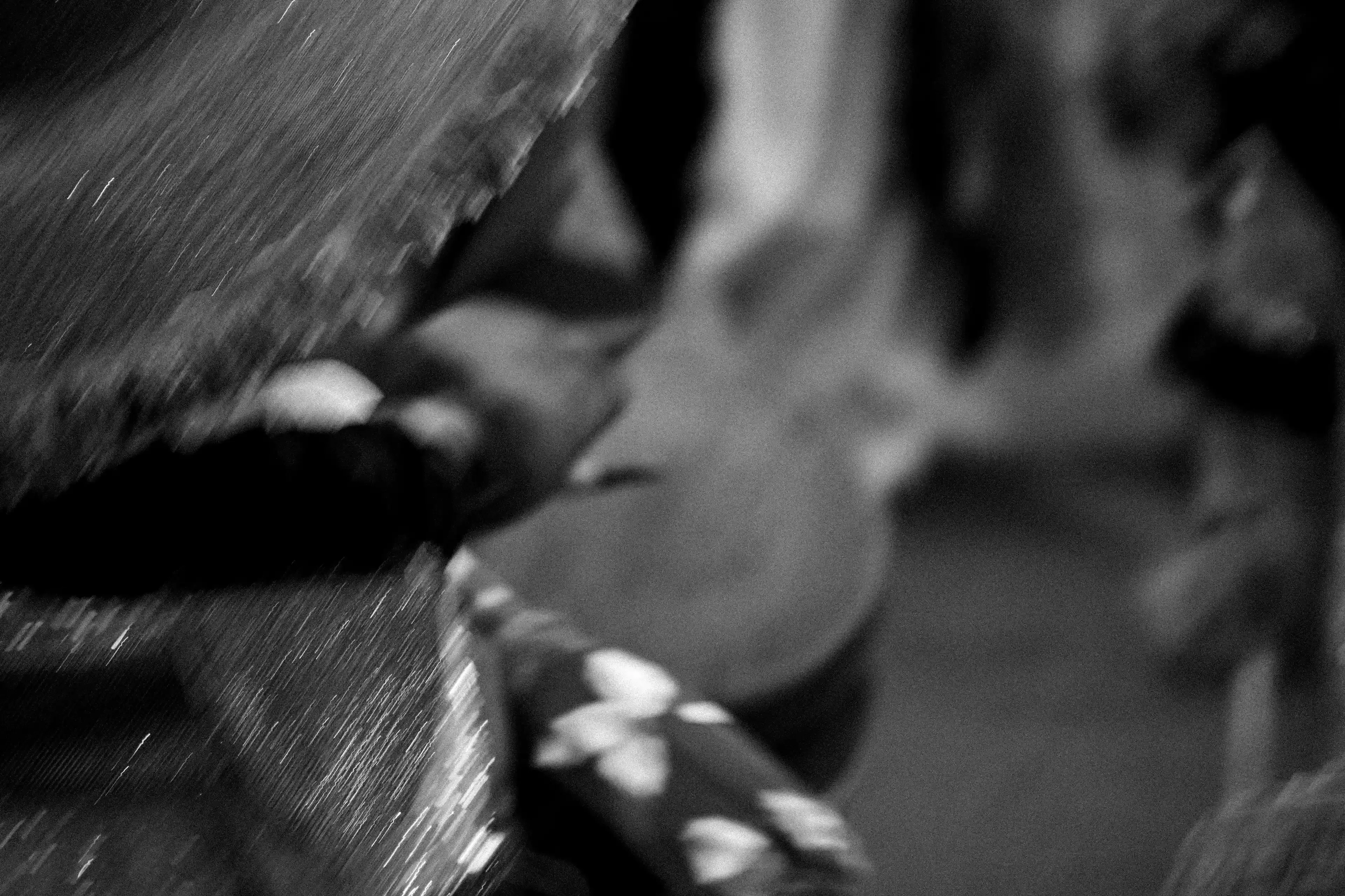 DSC_0102.webp