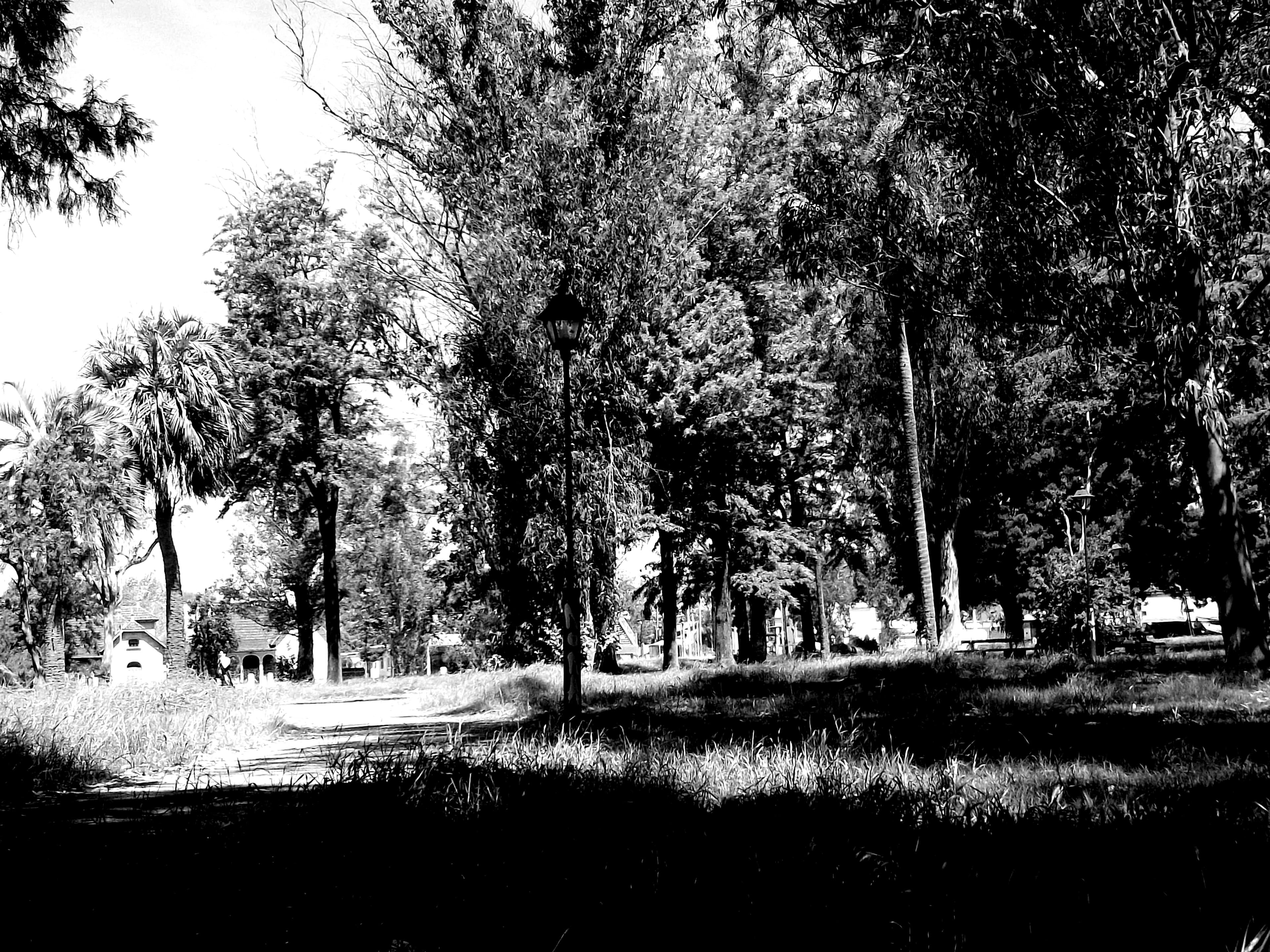 a71.JPG