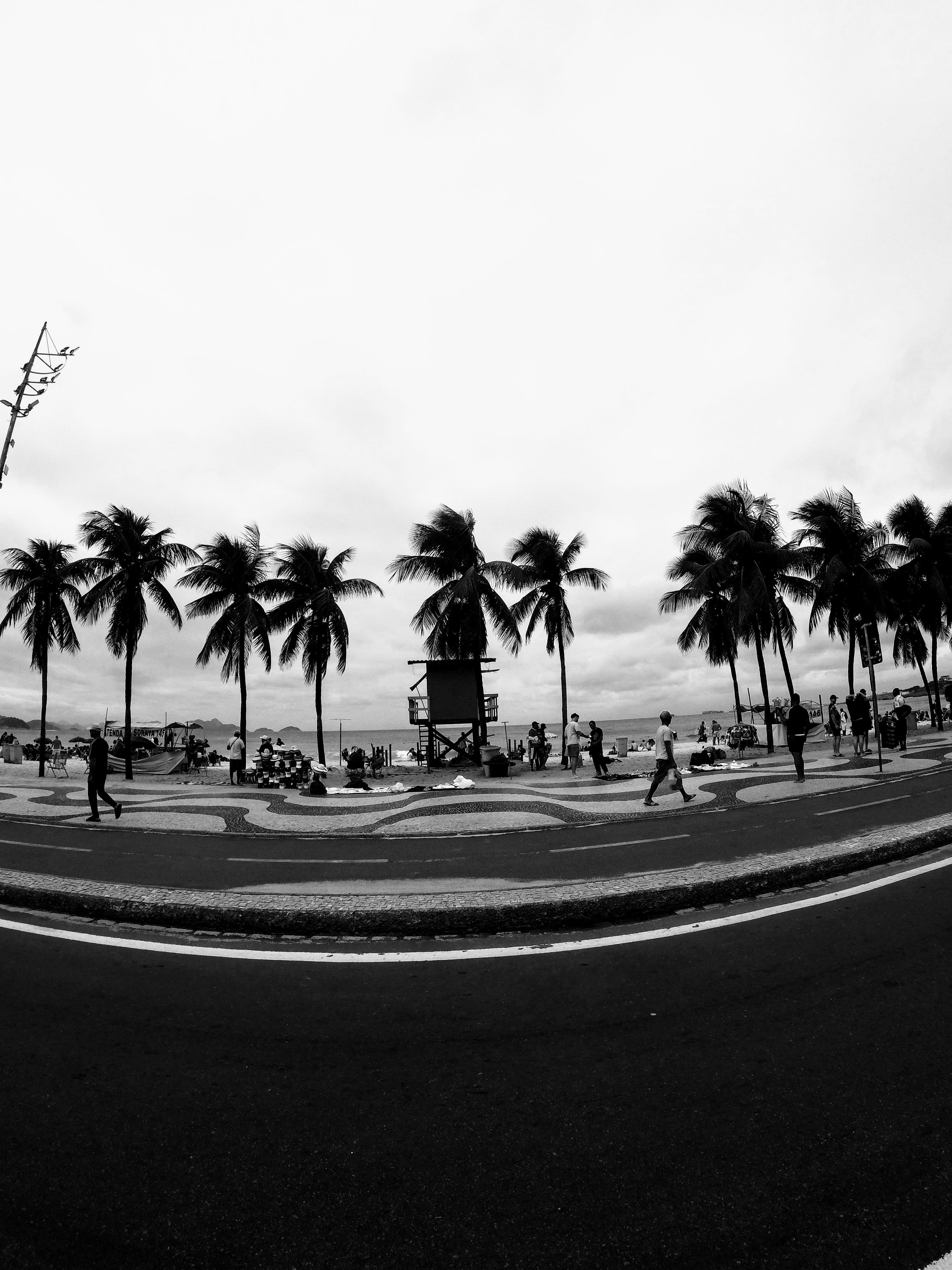 G0311564~2.jpg