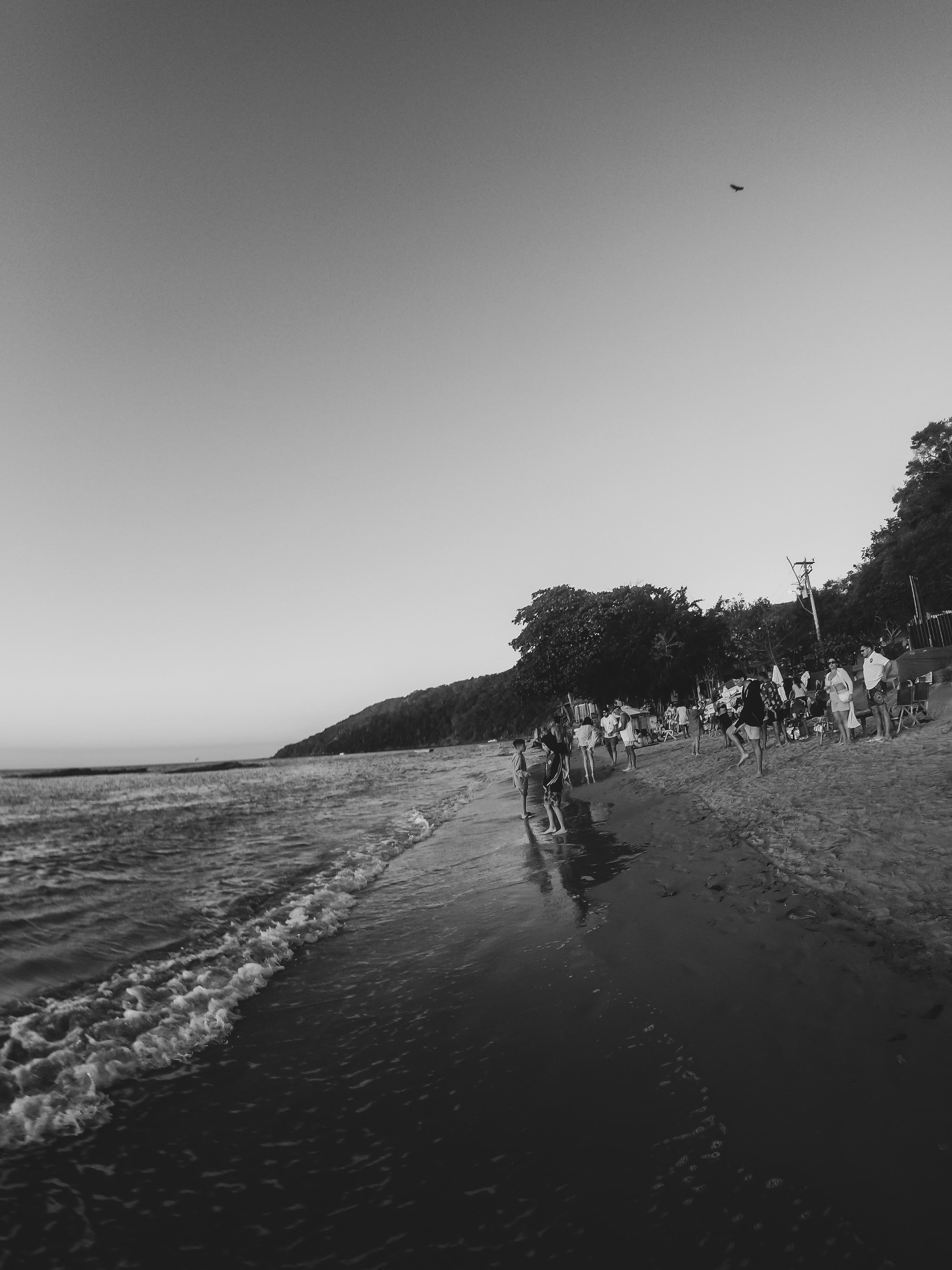 G1652349-2.jpg